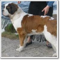 TOFFE LOFFE´S GAHITI NUMBER 1