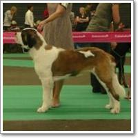 BUFFBALL CAYENNE CERA